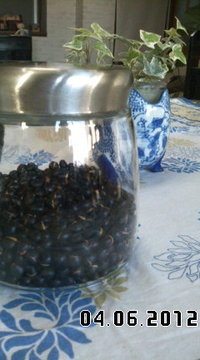 黒豆茶