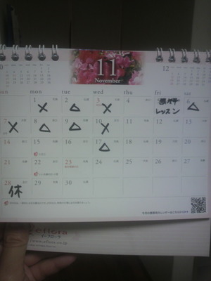 11月の予約状況~