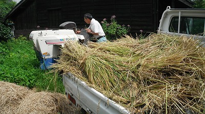 今年の稲刈りは最強でした、、、③