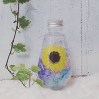 7月のイベント出店 2019/07/05 10:54:31