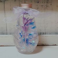 12月のイベントに向けて 2018/11/09 11:08:31