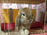 今日から10月！心機一転頑張ろうっとp(^_^)q