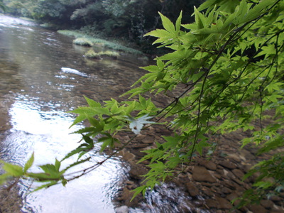 吾平地区探索の巻・・・その2