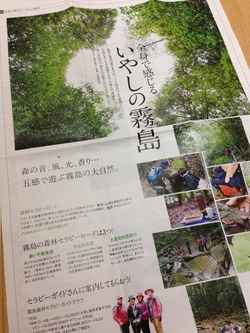 五感で楽しむセラピー / 鹿児島県 霧島市 五感で楽しむセラピー / 鹿児島県 霧島市