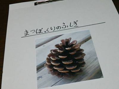 宿題追い込み
