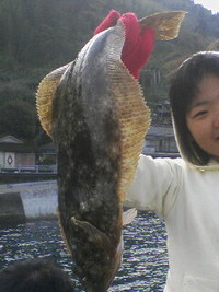 釣れた〜!