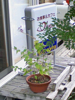 イーハトヴ