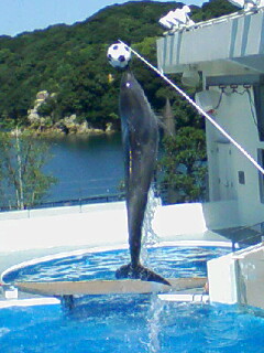 クラゲｉｎ海きらら