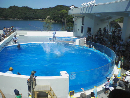 クラゲｉｎ海きらら
