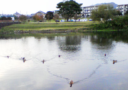 天降川　河川敷公園