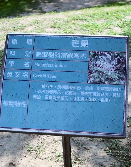 台湾日記 その12 台湾の謎