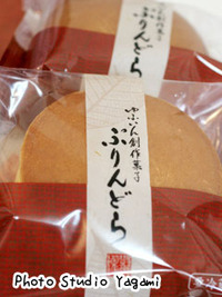 湯布院のスタジオからお客様！
