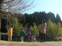 2012年01月19日