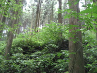 山寺鉱泉のいわれの場所