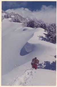 夢に向かって・・・・ただひたすらまっしぐらに！