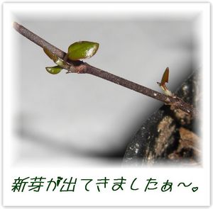 セーフ！！