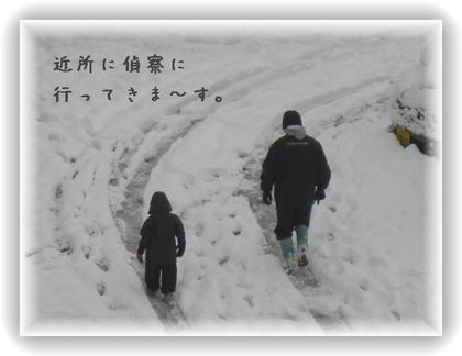 今日も凄いです