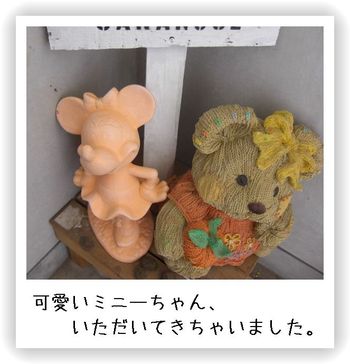 我が家に仲間入り