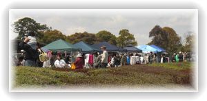 吉野公園桜祭り有難うございました。