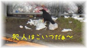 犯人みっけ