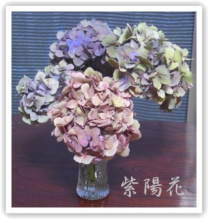 花泥棒