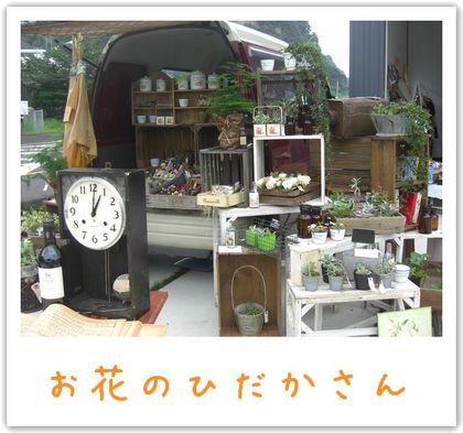 ぷんだりーか
