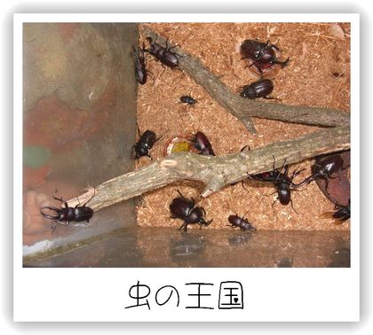 2人の宝物