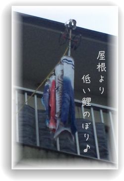 屋根より低いけど