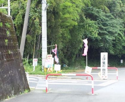 会場までのアクセス~Early Summer Market~