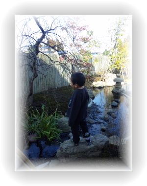 ここは何処