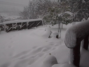 積雪35～40センチ　　豪雪