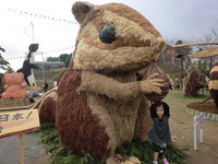 2011年11月07日