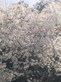 2012年03月21日