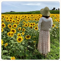指宿のひまわり畑 2021/07/30 12:21:01