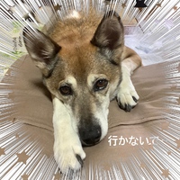気になって病院へ 2020/09/16 12:36:16