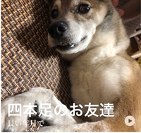 Googleフォトdeおともだち 2020/09/14 13:01:30
