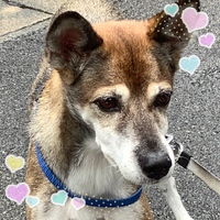 あらたな病院へ 2020/09/18 12:36:19