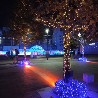 天文館公園イルミネーション 2020/12/11 12:44:39