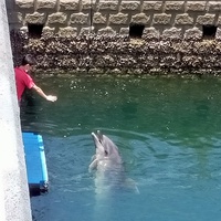 個人レッスン？ 2021/06/04 12:15:00