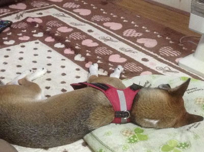 ナチュラルぷくぷく糸で円座３つ目完成♪　