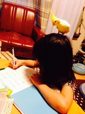 2015.06.29*成長しています 2015.06.29*成長しています