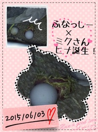2015年06月04日