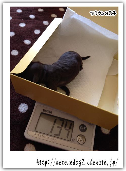 12/10生まれました