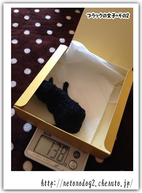 12/10生まれました