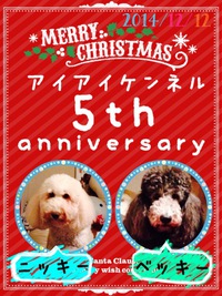 2014.12.12のワンコラたち♪