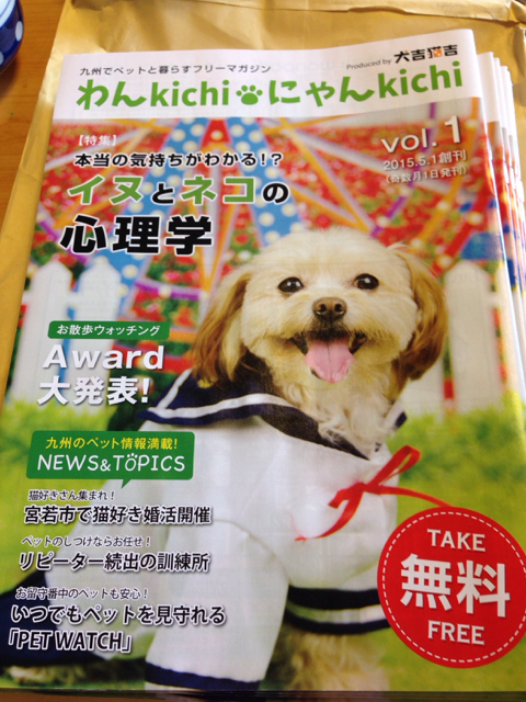 犬吉猫吉フリーペーパーおいてます 犬吉猫吉フリーペーパーおいてます