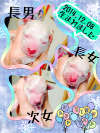 かごめ*初出産