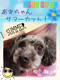 2015年05月27日