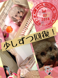 うさちゃん♪経過報告