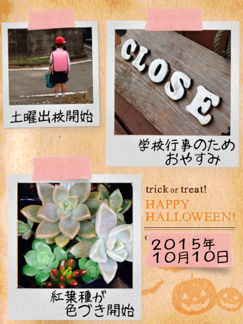 本日はおやすみです 本日はおやすみです